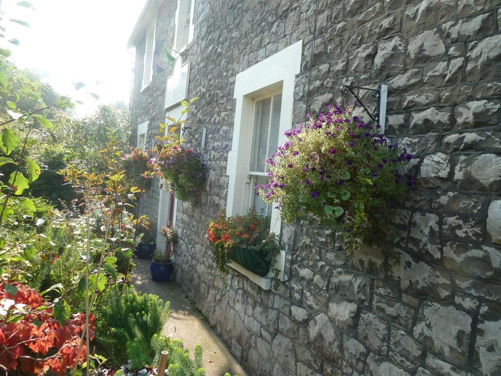 The Owls Crest House B&B Weston-super-Mare Exterior foto